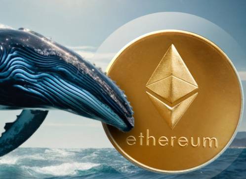 Ethereum. Zdroj: U.Today