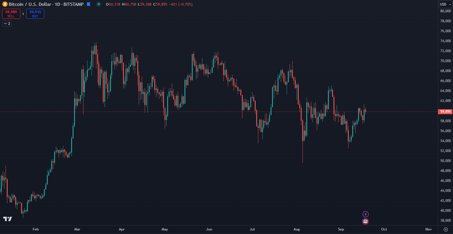 Pohyb Bitcoinu v roku 2024. Zdroj: TradingView Pohyb Bitcoinu v roku 2024. Zdroj: TradingView